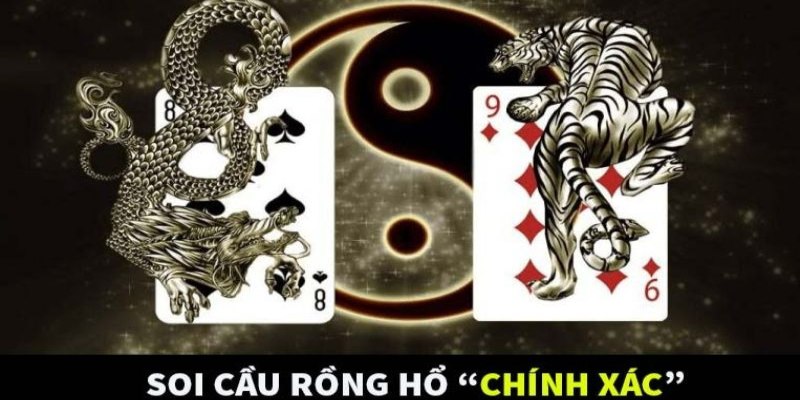 Làm sao để xem kết quả soi cầu rồng hổ chính xác?